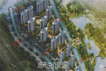 新六大街左岸国际精装电梯三房85万118平可按揭